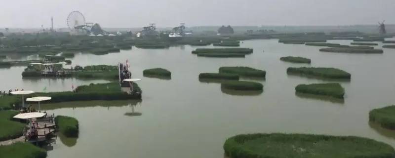 寿光水上王城钓鱼可以吗 寿光双王城水库钓鱼