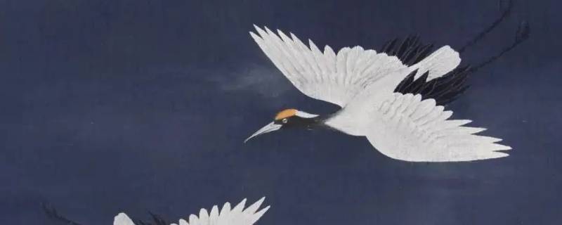 刘罗锅官服上绣的是什么动物（刘罗锅官服上绣的是什么动物图案）