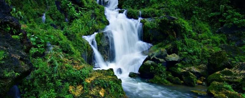 怎么喝山泉水最好 怎么喝山泉水最好呢