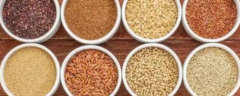 一小粒的橙色谷物（一小粒的橙色谷物是什么）