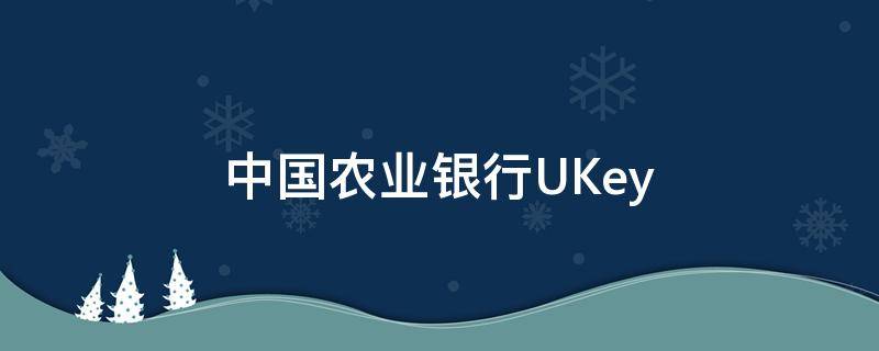 中国农业银行UKey（中国农业银行Ukey编号怎么查询）