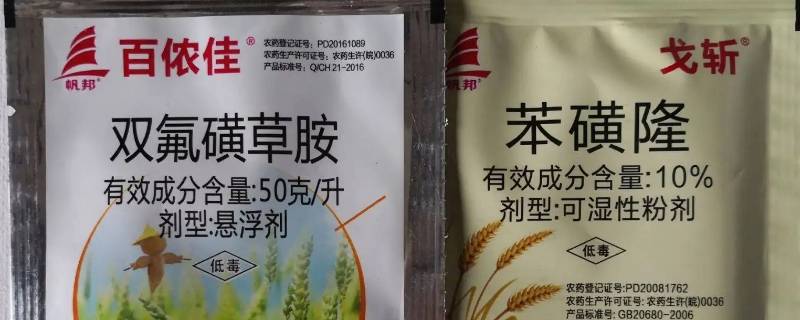 大葱田鸭趾草用什么除草剂（大葱田鸭趾草用什么除草剂最好）