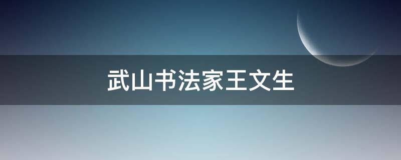 武山书法家王文生 武山书法家王文生简介