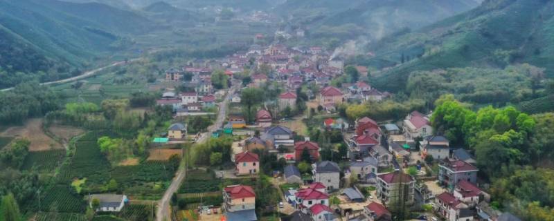 长兴2016届周璇文科状元