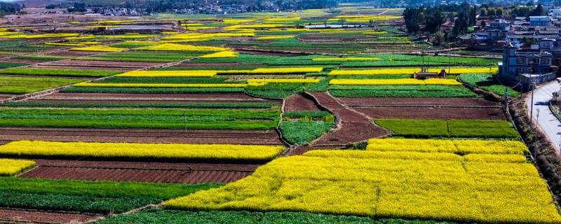 民之大事在于农 民之生计,国之大事
