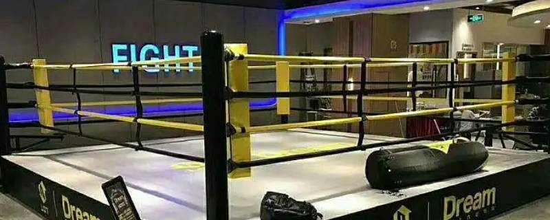 十岁练习综合格斗来得及吗（10岁格斗）