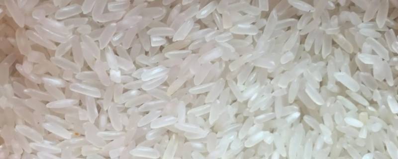 猫牙米是转基因大米吗 猫芽米是转基因吗