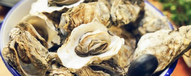 蒸生蚝冷水下锅蒸多久 蒸生蚝要蒸多久 冷水下锅