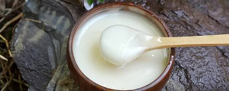 正宗椴树蜜多少钱一斤 正宗椴树蜜多少钱一斤价格