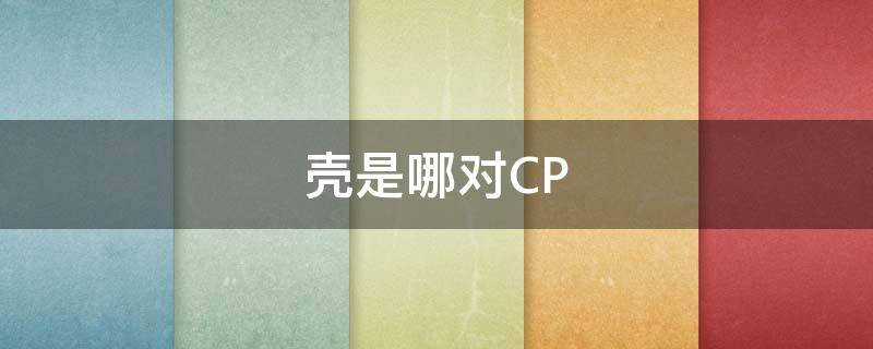 壳是哪对CP（壳到底是什么）