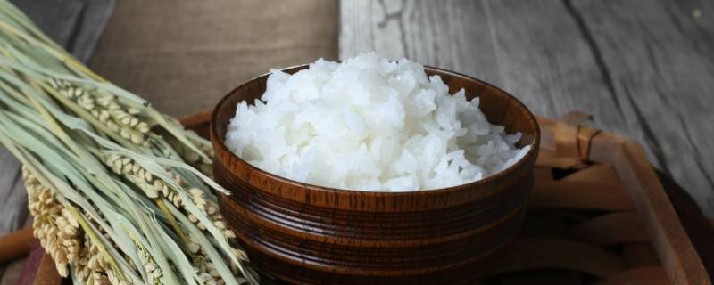 700卡路里是多少食物 700卡路里相当于多少食物