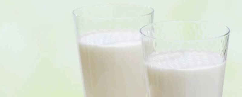 早上能不能空腹喝羊奶 早上能不能空腹喝羊奶粉还是饭后喝