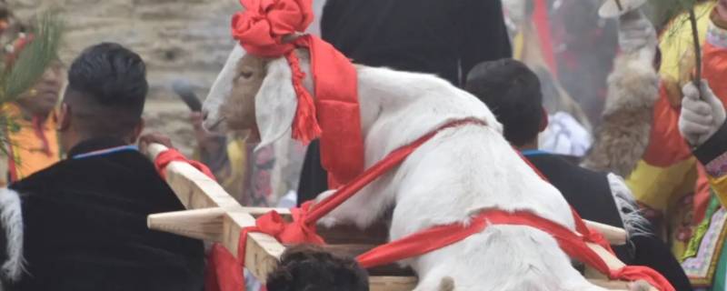 日羌节是哪个民族的 日羌节属于哪个民族