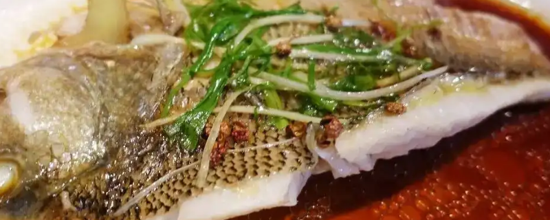 鲈鱼的籽可以放在一起蒸吗（鲈鱼籽可以和鲈鱼一起蒸吗）
