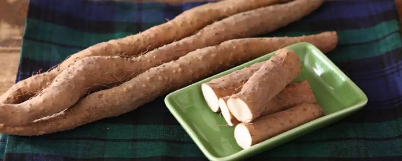 铁棍山药能和鸡蛋一起吃吗（山药可以和鸡蛋一起吃吗铁棍）