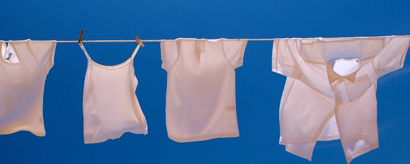 衣服上有芒果汁用什么可以去掉（衣服上的芒果汁怎么去掉）