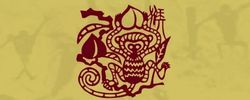 三六重开合二码是什么生肖（二三合成五六码是什么生肖）