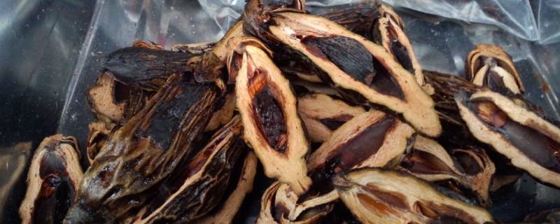 槟榔片在卤料中的作用（槟榔片在卤料中的作用计量）