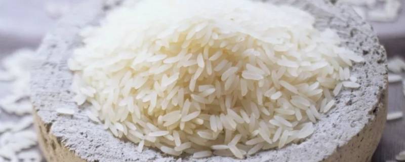 米的热量 米的热量是多少