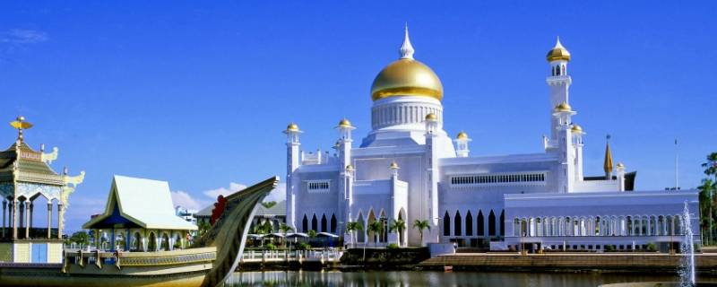 为什么文莱人会说中文（为什么文莱人会说中文呢）