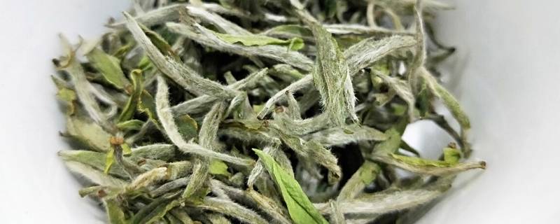 白茶价格一般多少钱一斤（安吉白茶价格一般多少钱一斤）