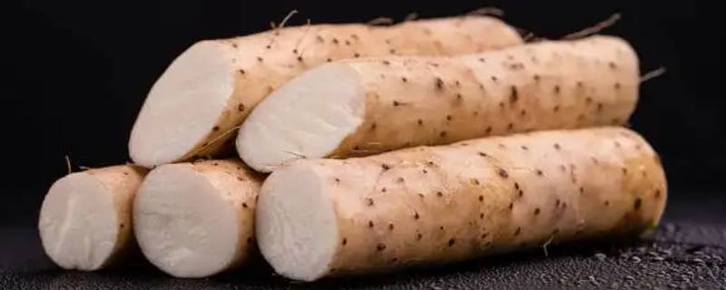 山药能当主食吗 山药能当主食吗?
