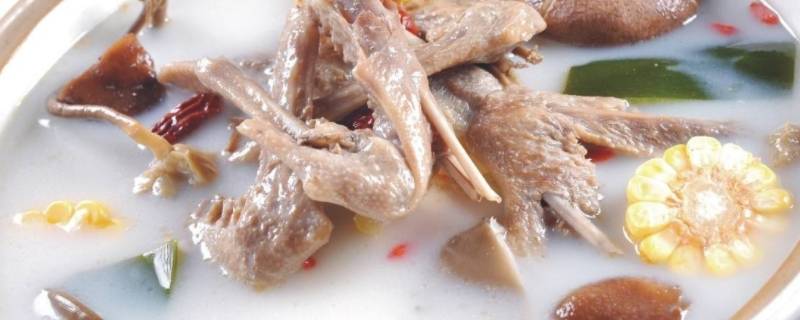 十全大补汤的做法 十全大补汤的做法大全