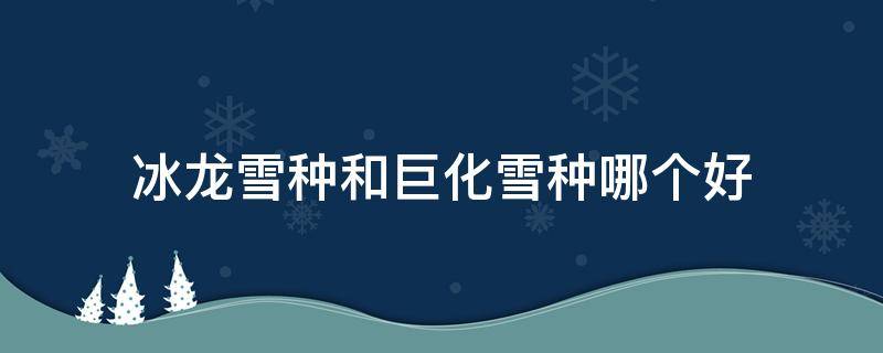 冰龙雪种和巨化雪种哪个好（冰龙雪种和巨化雪种哪个好）