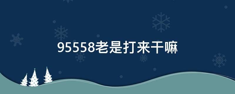 95558老是打来干嘛（95566打来干嘛）