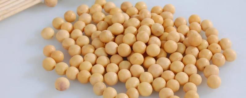 50克黄豆大概是多少（50克黄豆大概是多少个）