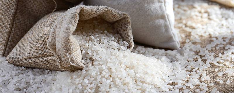 gb t1354是什么级别的大米