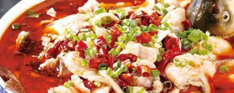 一什么水煮鱼 一什么水煮鱼填空