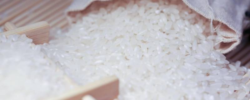 大米含糖量 大米含糖量高吗糖尿病可以吃吗