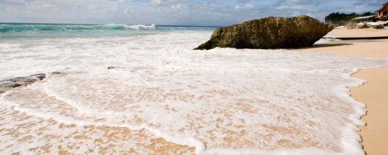 龙岗区附近赶海的地方在哪里 龙岗哪里可以赶海