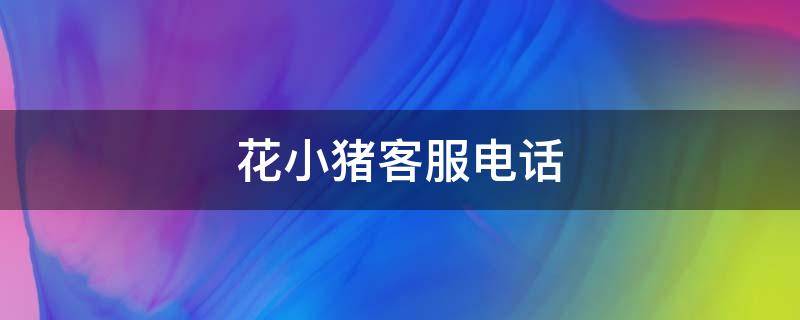 花小猪客服电话（花小猪客服24小时人工服务）