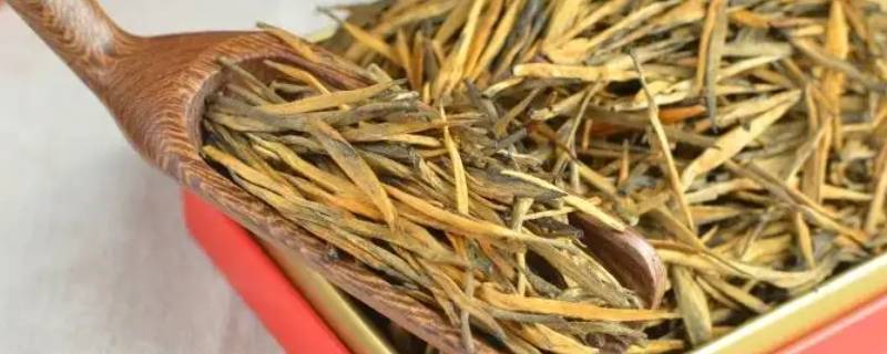 大金叶茶叶属于什么茶 大金叶是红茶吗