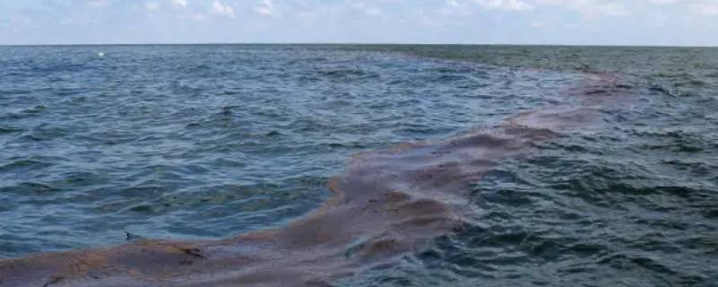 哪些情况可以造成海洋石油污染 哪种情况造成海洋石油污染