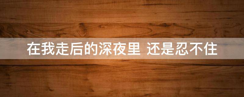 在我走后的深夜里 你走后的每个夜里