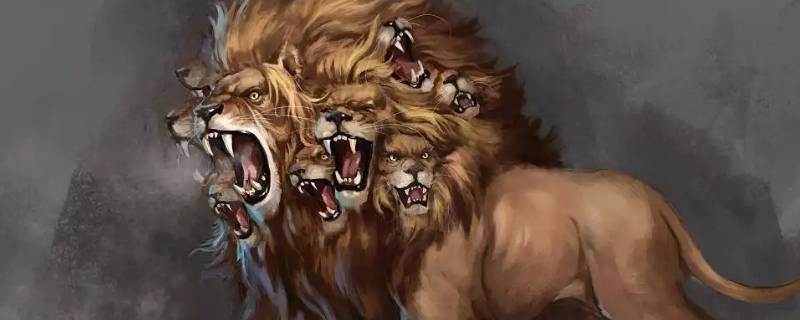 中山石岐哪里有伟企木业（中山市最大木业有限公司）