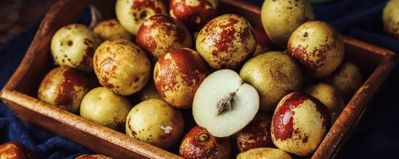 4a冬枣标准 3a冬枣多大