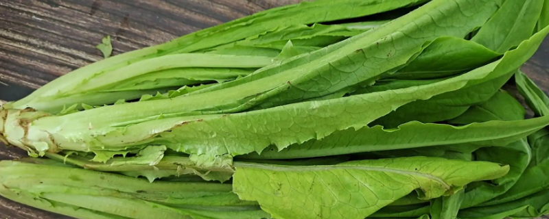 吃莴笋叶禁忌（莴笋叶的食用禁忌）