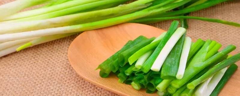葱为主料可以做什么菜（葱为主料可以做什么菜吃）