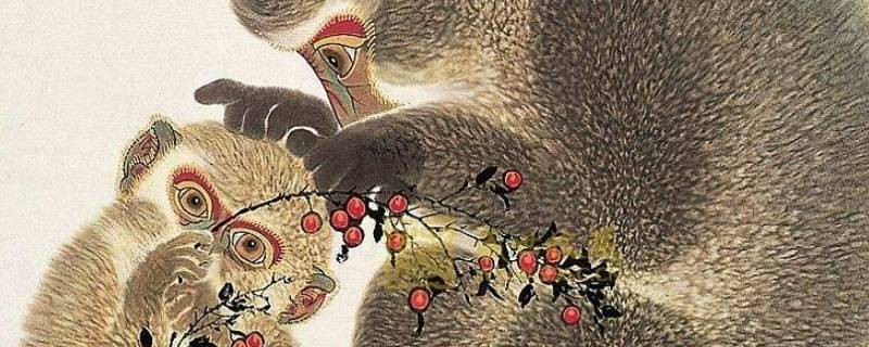 伸手要钱打一生肖（伸手要钱打一个生肖）
