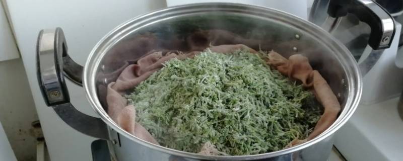 白蒿麦饭的做法窍门（白蒿麦饭的做法窍门窍门窍门）
