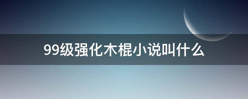 99级强化木棍小说叫什么（99级强化木棍小说叫什么名字）