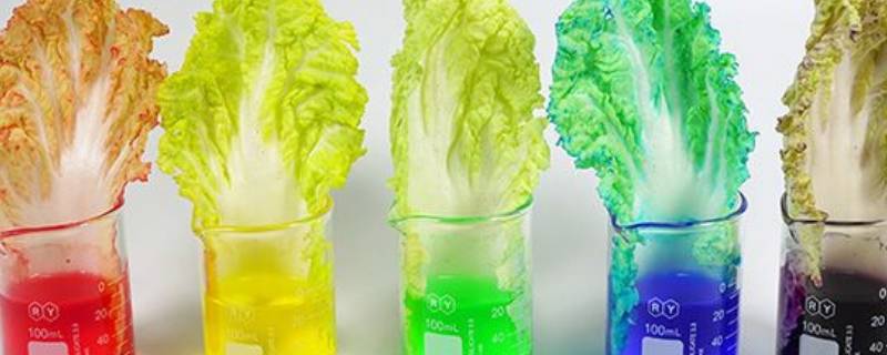 蔬菜吸水变色的实验 蔬菜吸水变色的实验视频