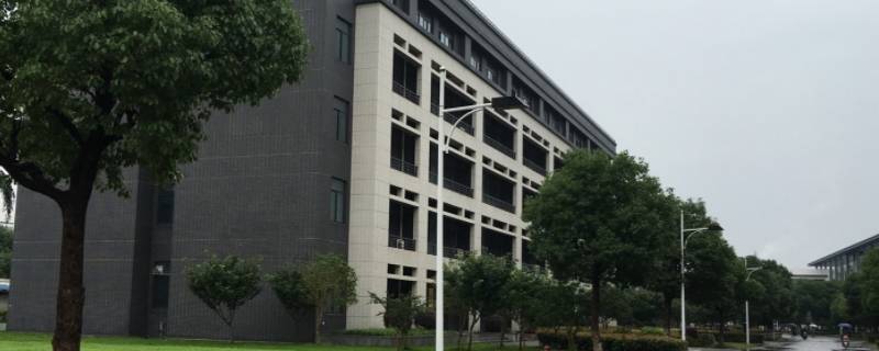湖州师范学院考编率 湖州师范小学教育考编率
