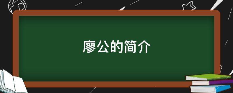 廖公的简介 廖公弦简介