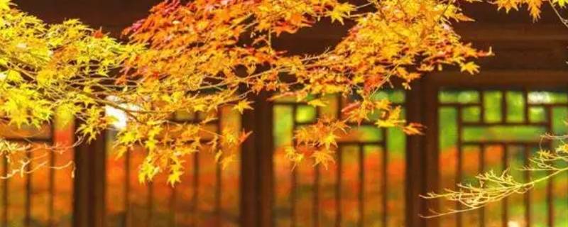 薄暮知秋是什么意思 薄暮不知秋