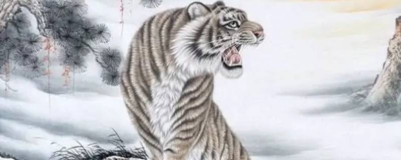 山肖是指哪几个生肖 山肖指的是哪几肖